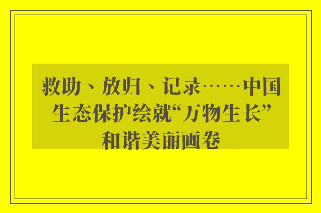 救助、放归、记录……中国生态保护绘就“万物生长”和谐美丽画卷