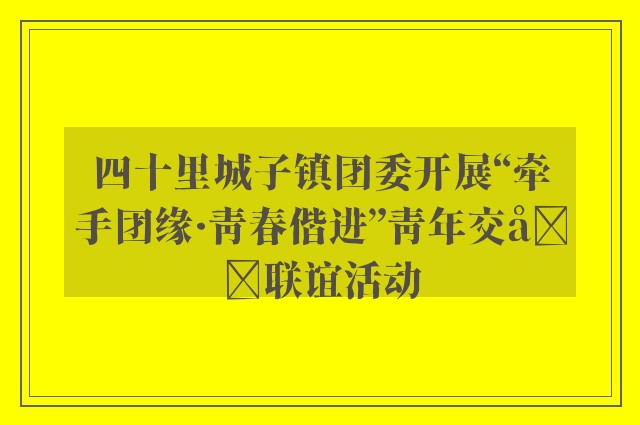 四十里城子镇团委开展“牵手团缘·青春偕进”青年交友联谊活动