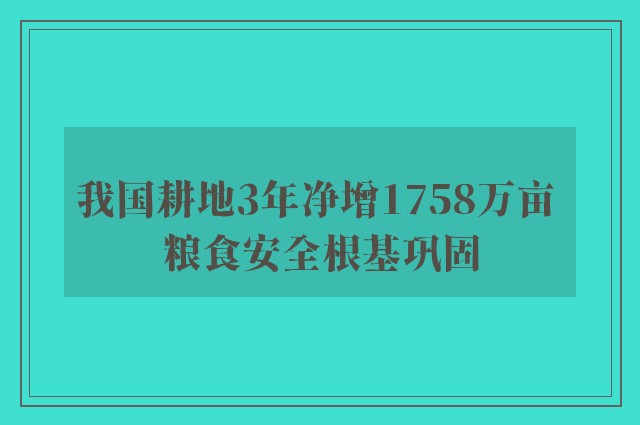 我国耕地3年净增1758万亩 粮食安全根基巩固