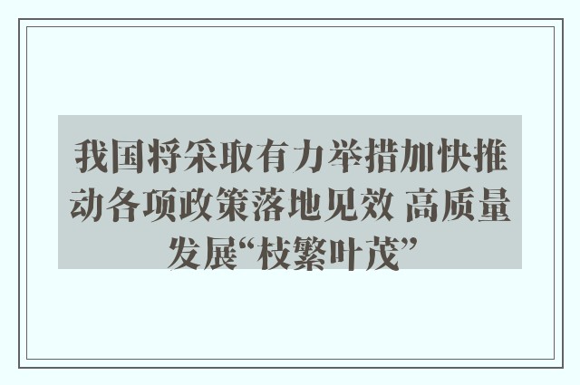 我国将采取有力举措加快推动各项政策落地见效 高质量发展“枝繁叶茂”