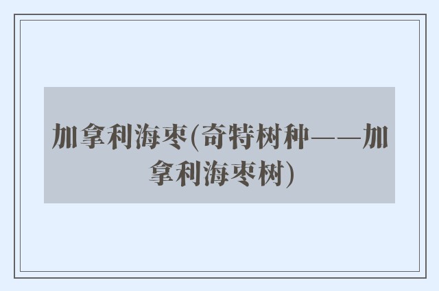 加拿利海枣(奇特树种——加拿利海枣树)