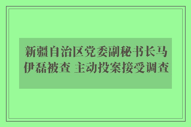 新疆自治区党委副秘书长马伊磊被查 主动投案接受调查