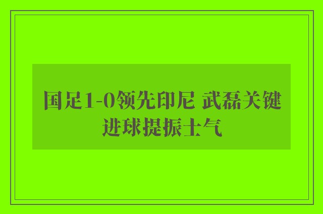 国足1-0领先印尼 武磊关键进球提振士气