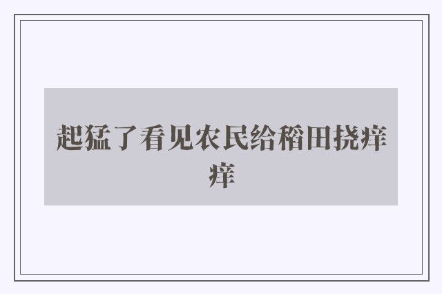 起猛了看见农民给稻田挠痒痒