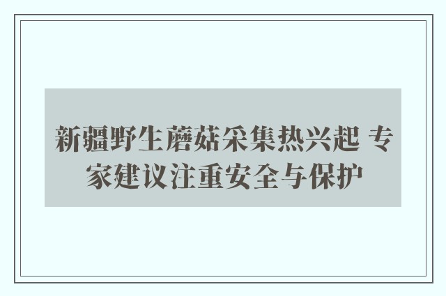 新疆野生蘑菇采集热兴起 专家建议注重安全与保护