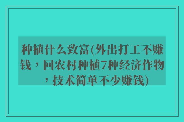 种植什么致富(外出打工不赚钱，回农村种植7种经济作物，技术简单不少赚钱)