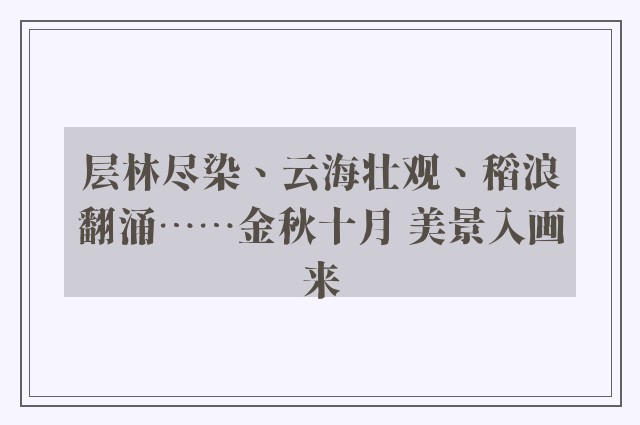 层林尽染、云海壮观、稻浪翻涌……金秋十月 美景入画来