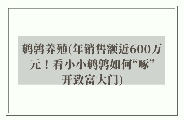 鹌鹑养殖(年销售额近600万元！看小小鹌鹑如何“啄”开致富大门)