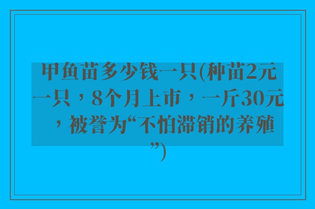 甲鱼苗多少钱一只(种苗2元一只，8个月上市，一斤30元，被誉为“不怕滞销的养殖”)