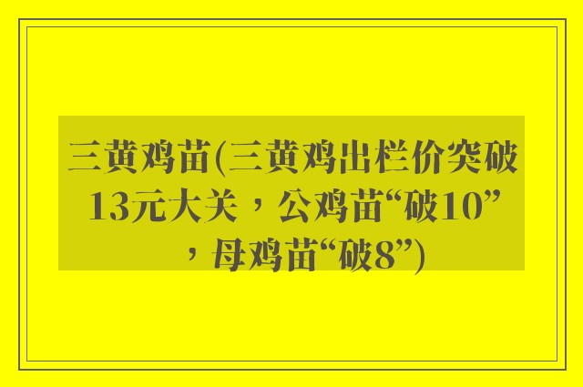 三黄鸡苗(三黄鸡出栏价突破13元大关，公鸡苗“破10”，母鸡苗“破8”)