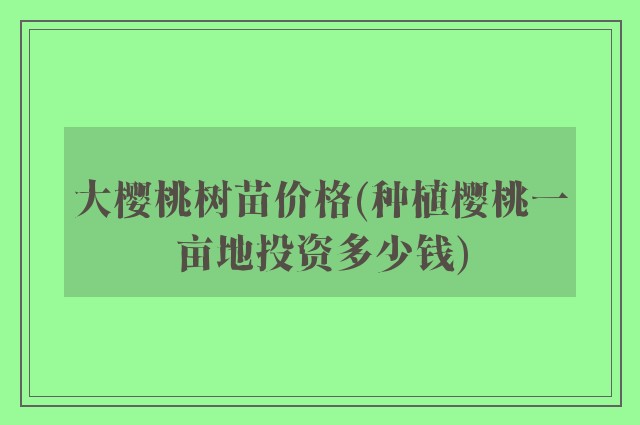 大樱桃树苗价格(种植樱桃一亩地投资多少钱)