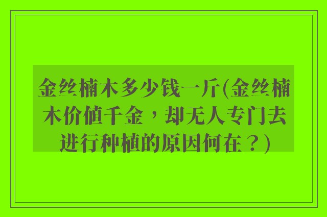 金丝楠木多少钱一斤(金丝楠木价值千金，却无人专门去进行种植的原因何在？)