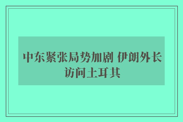 中东紧张局势加剧 伊朗外长访问土耳其