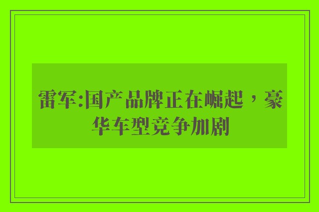 雷军:国产品牌正在崛起，豪华车型竞争加剧