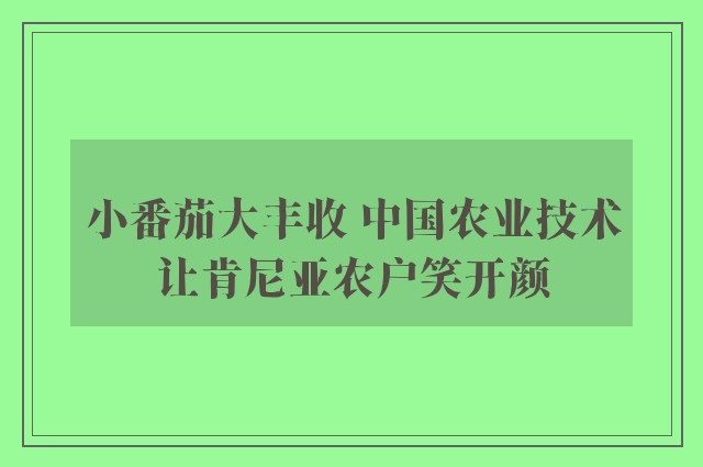 小番茄大丰收 中国农业技术让肯尼亚农户笑开颜