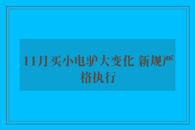 11月买小电驴大变化 新规严格执行