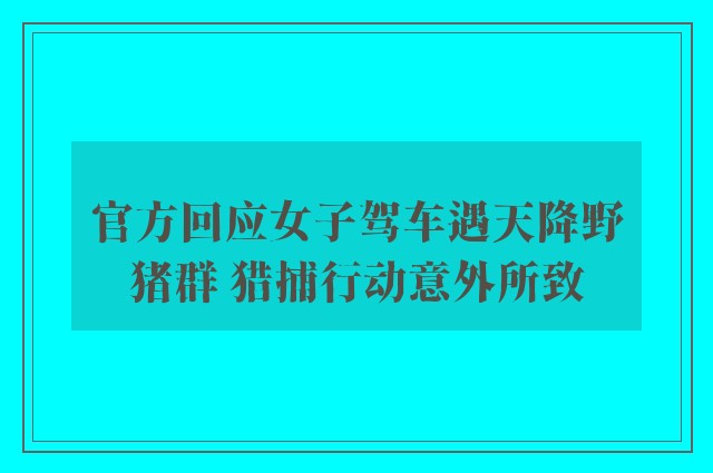 官方回应女子驾车遇天降野猪群 猎捕行动意外所致