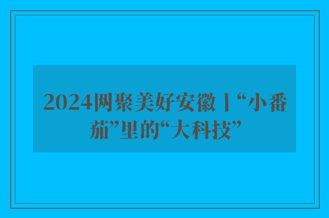 2024网聚美好安徽丨“小番茄”里的“大科技”