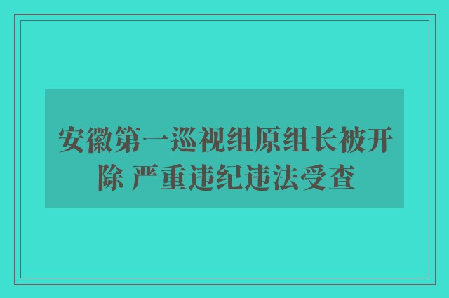 安徽第一巡视组原组长被开除 严重违纪违法受查