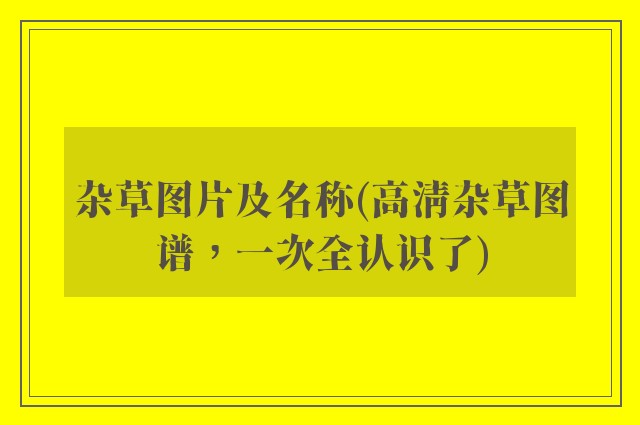 杂草图片及名称(高清杂草图谱，一次全认识了)