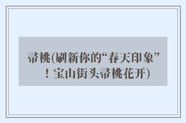 帚桃(刷新你的“春天印象”！宝山街头帚桃花开)