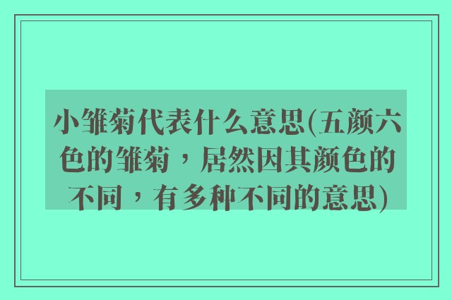 小雏菊代表什么意思(五颜六色的雏菊，居然因其颜色的不同，有多种不同的意思)