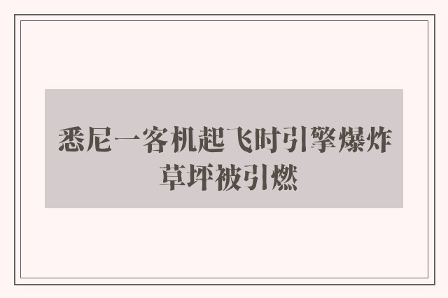 悉尼一客机起飞时引擎爆炸 草坪被引燃