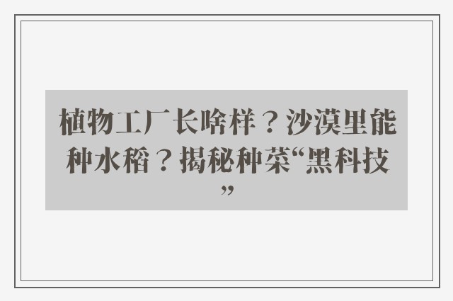 植物工厂长啥样？沙漠里能种水稻？揭秘种菜“黑科技”