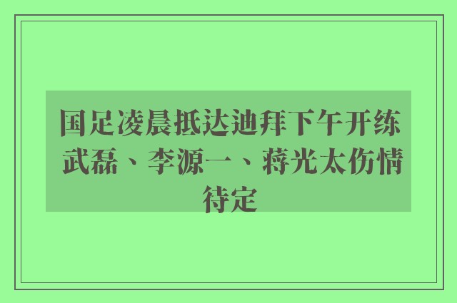 国足凌晨抵达迪拜下午开练 武磊、李源一、蒋光太伤情待定