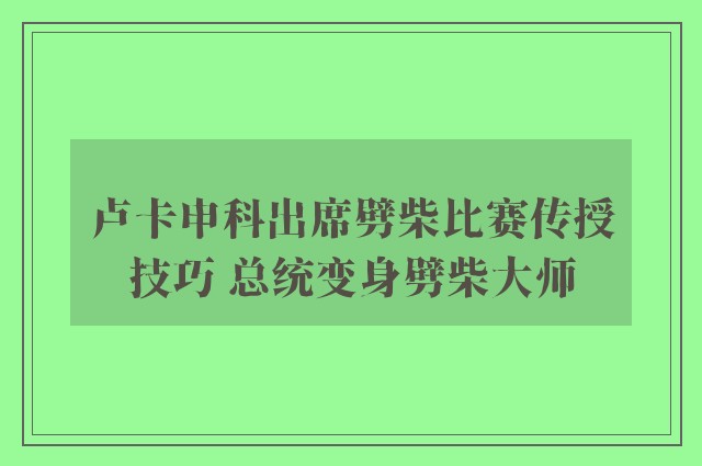 卢卡申科出席劈柴比赛传授技巧 总统变身劈柴大师