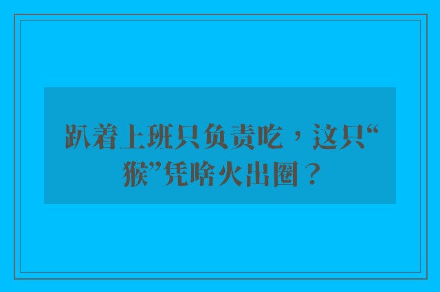 趴着上班只负责吃，这只“猴”凭啥火出圈？