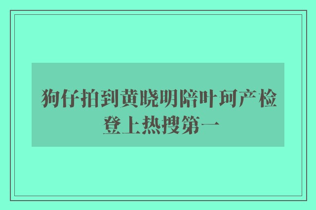 狗仔拍到黄晓明陪叶珂产检 登上热搜第一