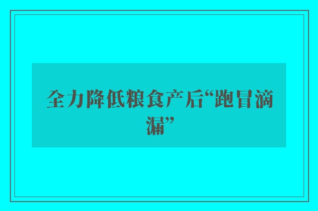 全力降低粮食产后“跑冒滴漏”