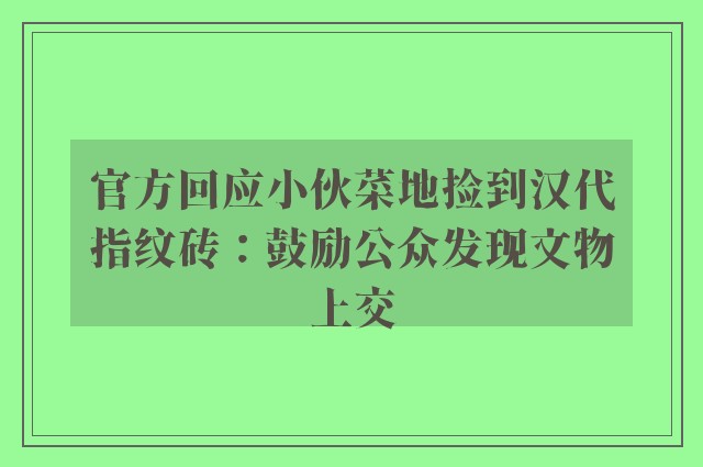 官方回应小伙菜地捡到汉代指纹砖：鼓励公众发现文物上交