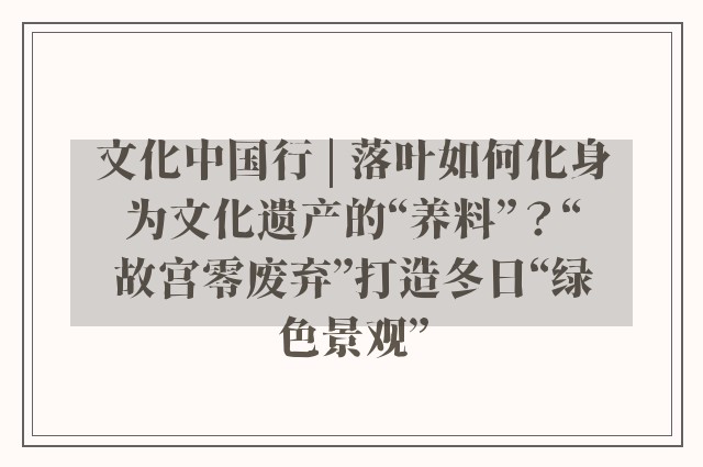 文化中国行 | 落叶如何化身为文化遗产的“养料”？“故宫零废弃”打造冬日“绿色景观”