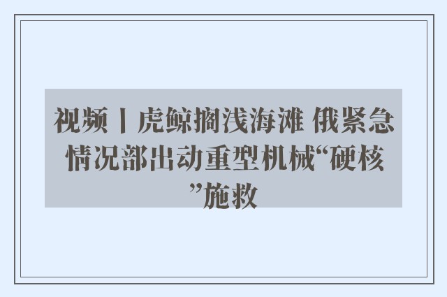 视频丨虎鲸搁浅海滩 俄紧急情况部出动重型机械“硬核”施救