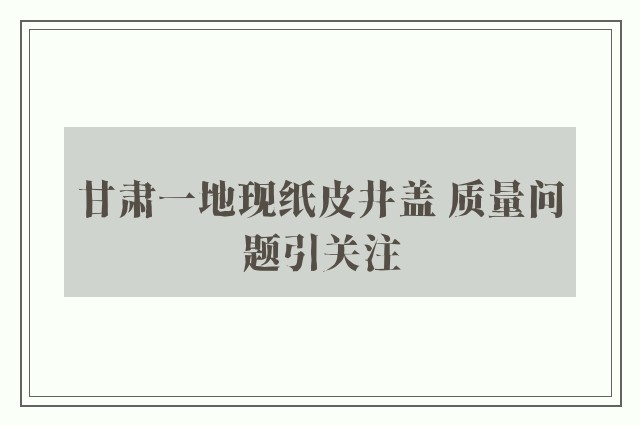 甘肃一地现纸皮井盖 质量问题引关注