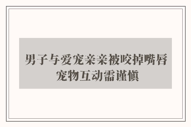 男子与爱宠亲亲被咬掉嘴唇 宠物互动需谨慎