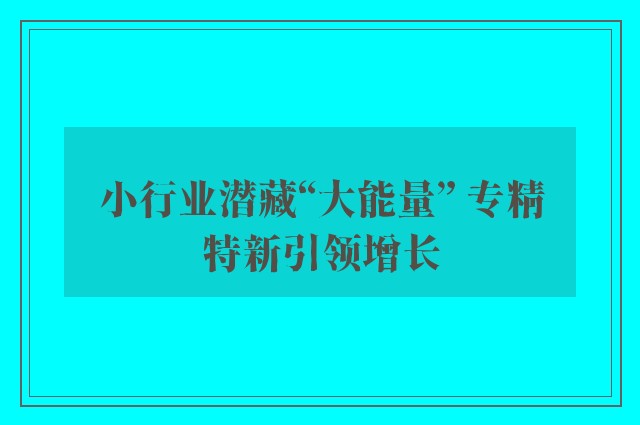 小行业潜藏“大能量” 专精特新引领增长