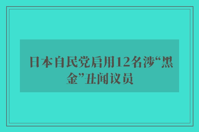 日本自民党启用12名涉“黑金”丑闻议员