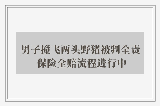 男子撞飞两头野猪被判全责 保险全赔流程进行中