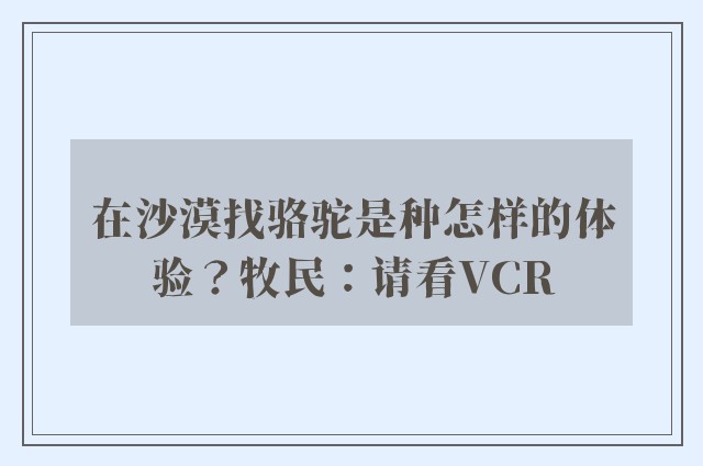 在沙漠找骆驼是种怎样的体验？牧民：请看VCR