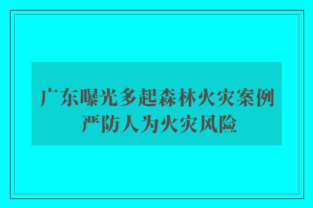 广东曝光多起森林火灾案例 严防人为火灾风险