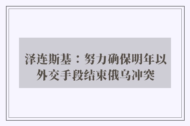 泽连斯基：努力确保明年以外交手段结束俄乌冲突