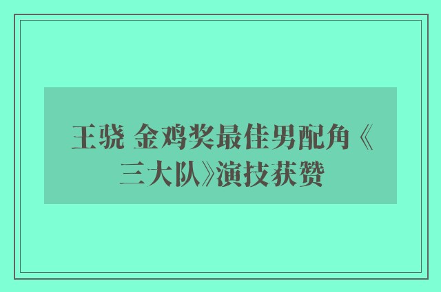 王骁 金鸡奖最佳男配角 《三大队》演技获赞