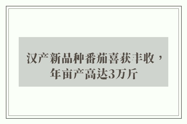 汉产新品种番茄喜获丰收，年亩产高达3万斤