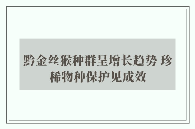 黔金丝猴种群呈增长趋势 珍稀物种保护见成效