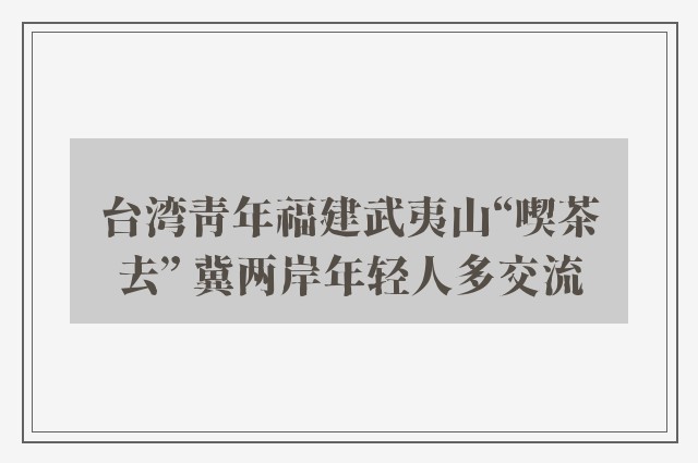 台湾青年福建武夷山“喫茶去” 冀两岸年轻人多交流