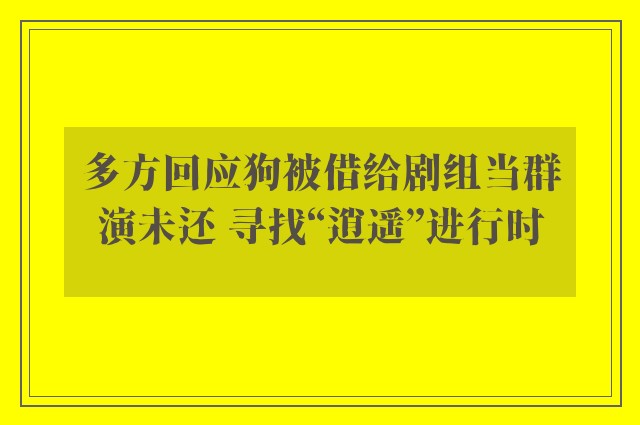 多方回应狗被借给剧组当群演未还 寻找“逍遥”进行时