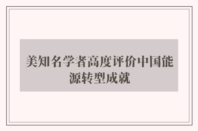 美知名学者高度评价中国能源转型成就